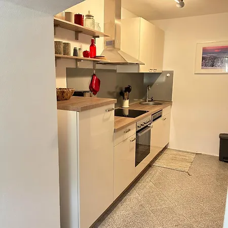 Apartament Ostrau, Neues Bad, Neue Kueche, Zentral, Sandstein-ferien, Gemeinschaftsterrasse Im Eg *