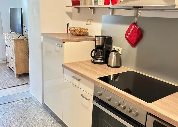 Ostrau, Neues Bad, Neue Kueche, Zentral, Sandstein-ferien, Terrasse Konigstein an der Elbe